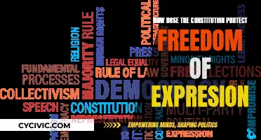 The Constitution's Safeguards for Freedom of Expression