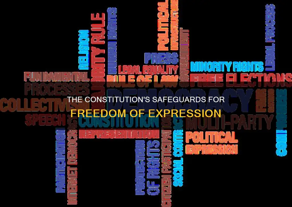 how dose the constitution protect freedom of expresion