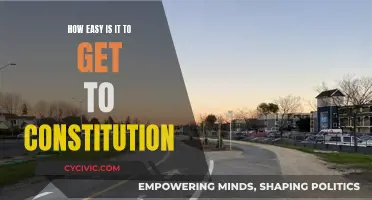 Exploring the Accessibility of the Constitution