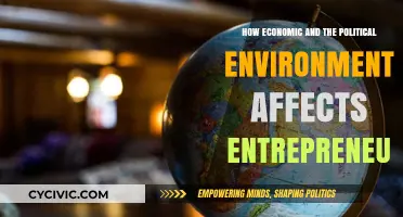 Navigating Entrepreneurial Ventures: The Impact of Economic and Political Landscapes