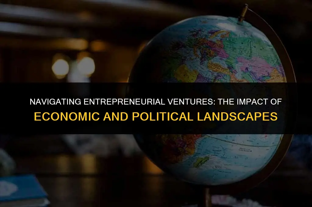 how economic and the political environment affects entrepreneurship