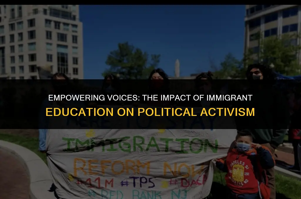 how educating immigrants affects political activism
