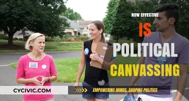 Political Canvassing: Impact, Effectiveness, and Modern Campaign Strategies