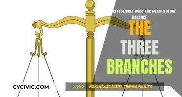 Balancing Act: Constitution's Power Play