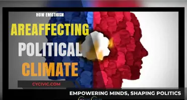 Emotions Fueling Polarization: How Feelings Shape Today's Political Climate