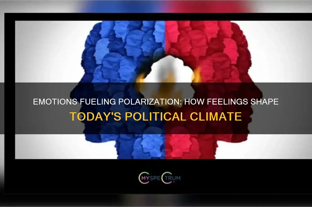 how emotiosn areaffecting political climate