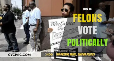 Ex-Felon Voting Rights: Political Participation After Incarceration Explained