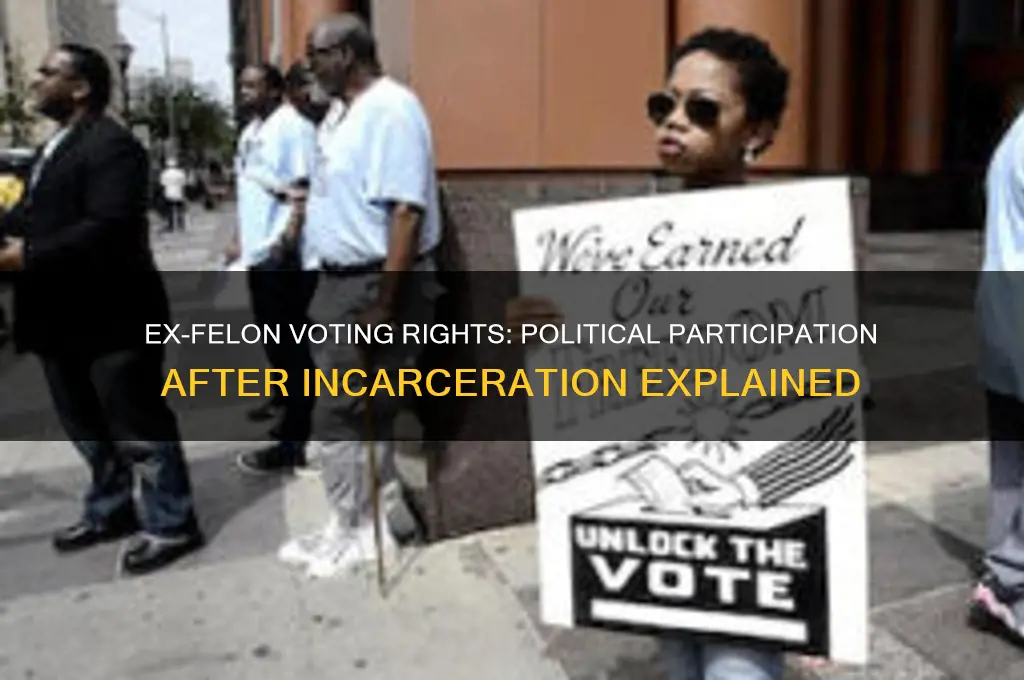 how ex felons vote politically