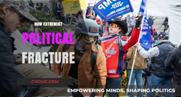 Polarized Politics: How Extremist Ideologies Fracture Societies and Fuel Division