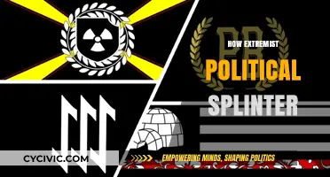 How Extremist Political Splinter Groups Fracture Societies and Fuel Division