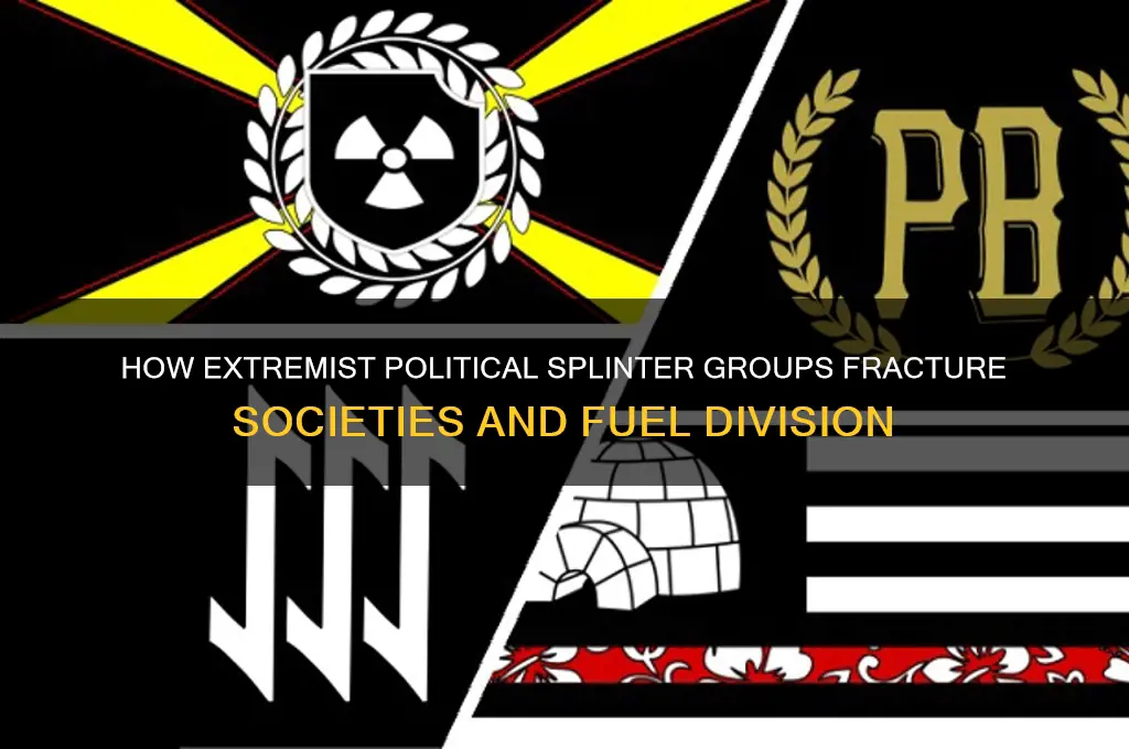 how extremist political splinter