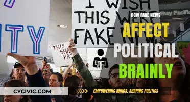 The Impact of Fake News on Political Minds