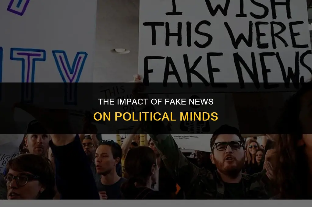 how fake news affect political brainly