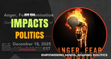 Fear's Grip: How Anxiety Shapes Political Decisions and Policies