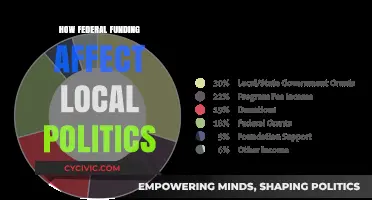 The Impact of Federal Funding on Local Political Dynamics