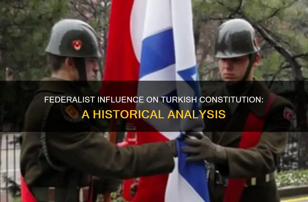 how federalists and the turkish constitution