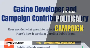 Funding Politics: Money and Campaign Strategies