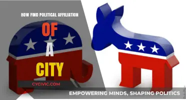 Decoding Urban Politics: How to Identify a City's Political Leanings
