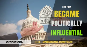 From Business to Power: How a Firm Gained Political Influence