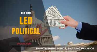 How Corporate Power Shapes Political Landscapes and Public Policy