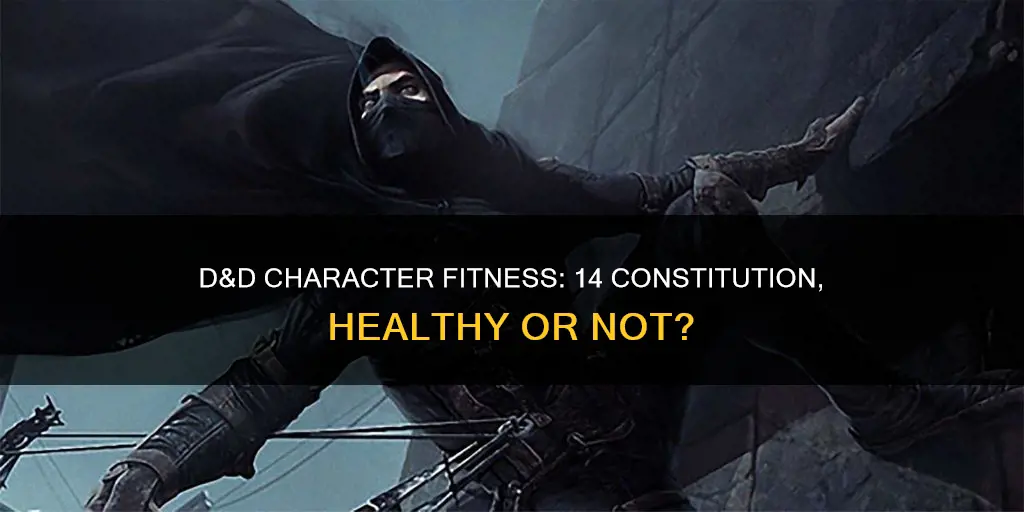 how fit is a dnd character with 14 constitution