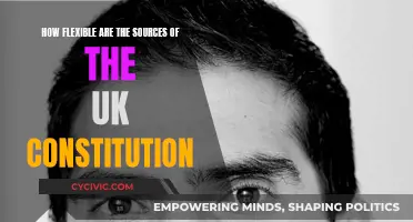 The UK Constitution: Flexibility and Sources
