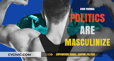 Masculinity in Power: Deconstructing the Gendered Landscape of Formal Politics