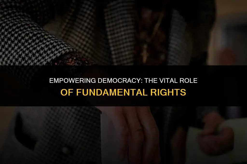 how fundamental rights promote political democracy