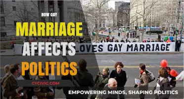 The Impact of Gay Marriage on Political Landscapes