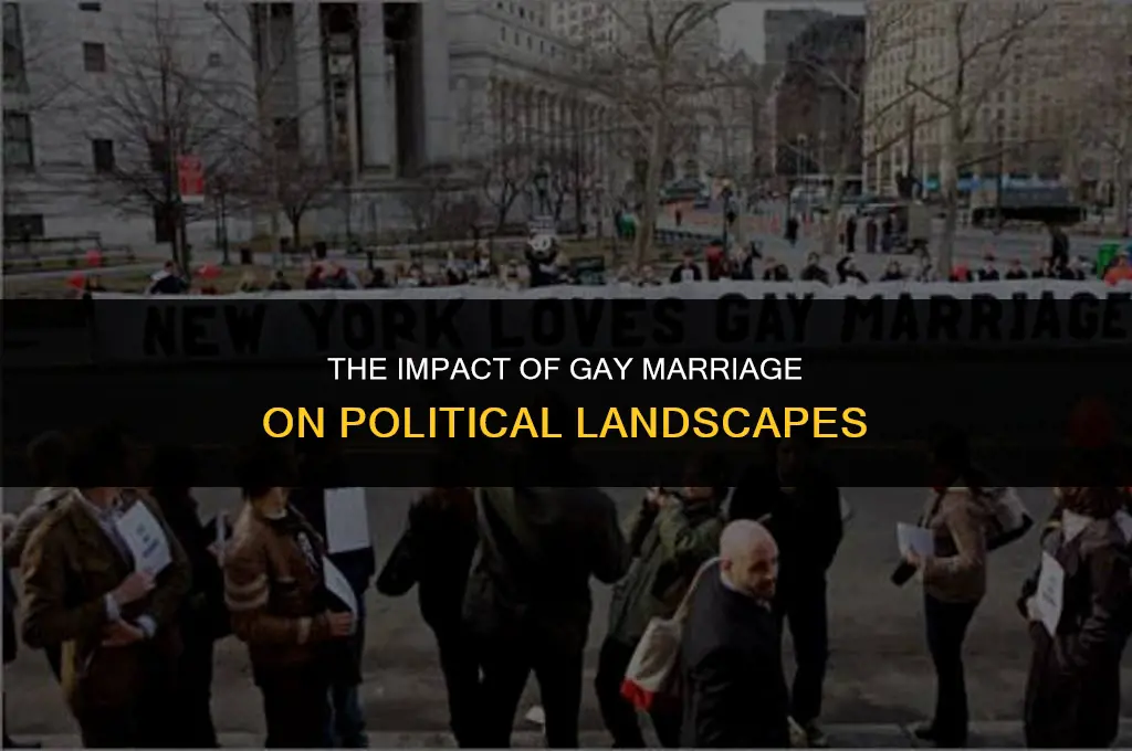 how gay marriage affects politics