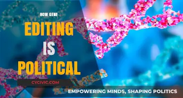 Gene Editing's Political Divide: Power, Ethics, and Global Governance
