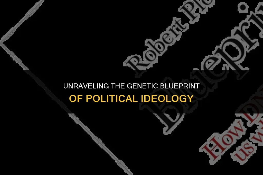 how genetics affect political leaning