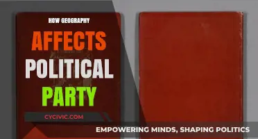 Geography's Grip: How Terrain Shapes Political Party Landscapes