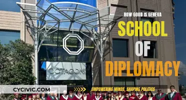 Geneva School of Diplomacy: A World-Class Education?