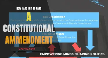 The Challenge of Amending the Constitution