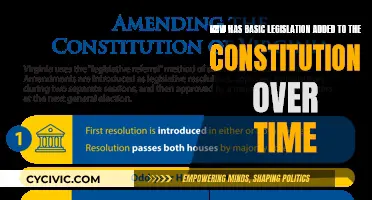 The Evolution of Basic Legislation and the Constitution