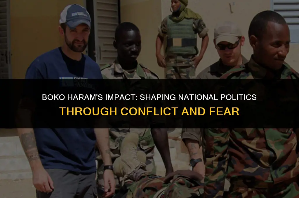 how has boko haram affect national politics