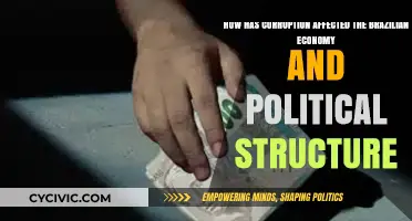 Brazil's Economy and Politics: The Impact of Corruption