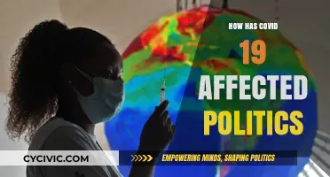 The Pandemic's Impact: Reshaping Political Landscapes Worldwide