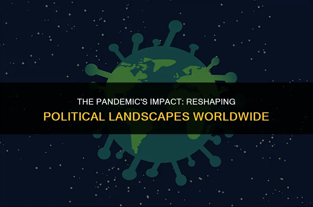 how has covid 19 affected politics