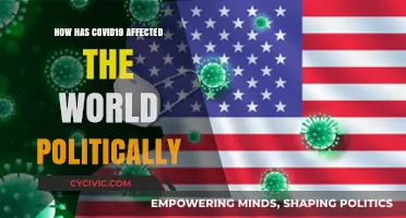 The Political Fallout: COVID-19's Impact on Global Governance
