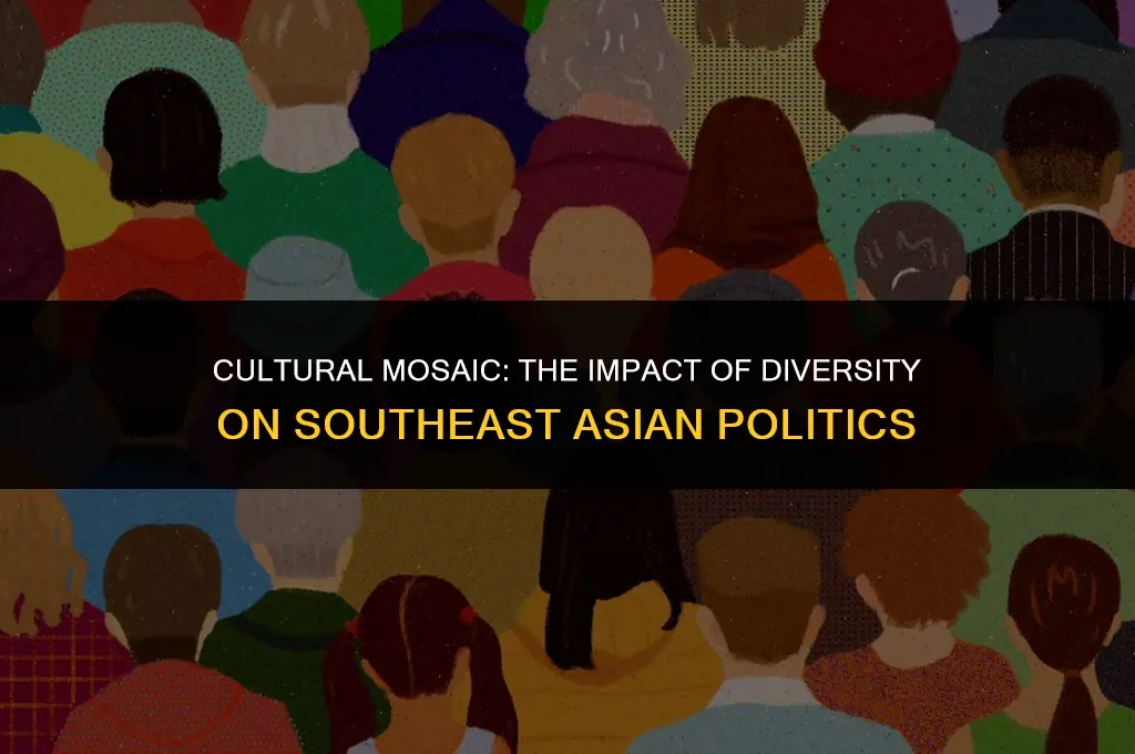 how has cultural diversity affected politics in southeast asia