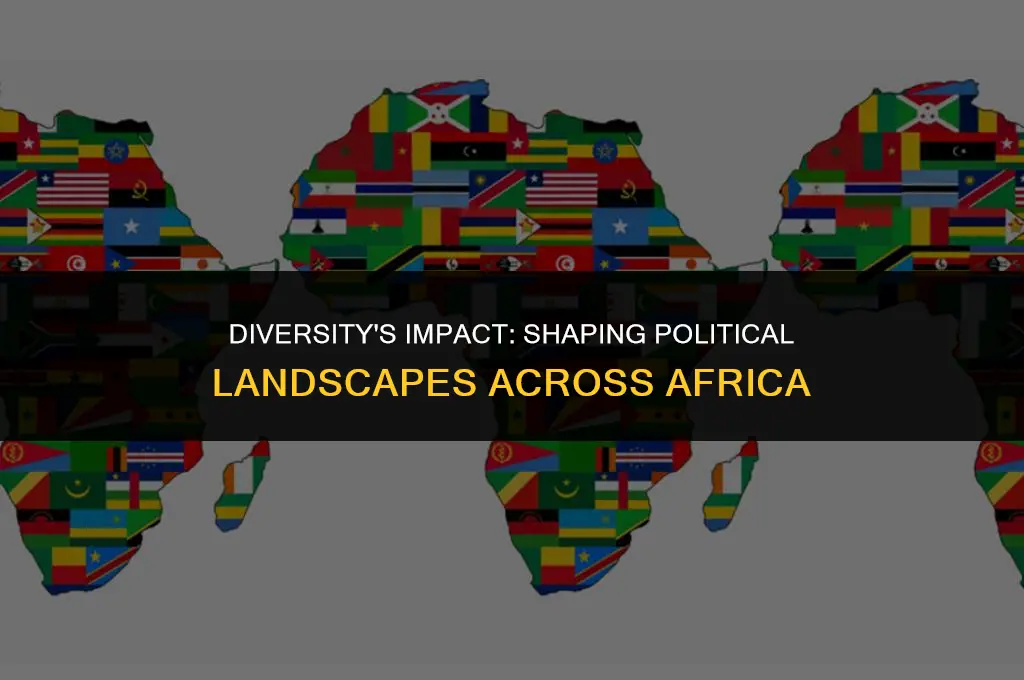 how has diversity affected politics in africa