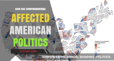 Shaping Democracy: The Impact of Gerrymandering on American Politics