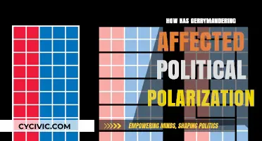 Gerrymandering's Impact: Fueling Political Polarization in Modern Democracies