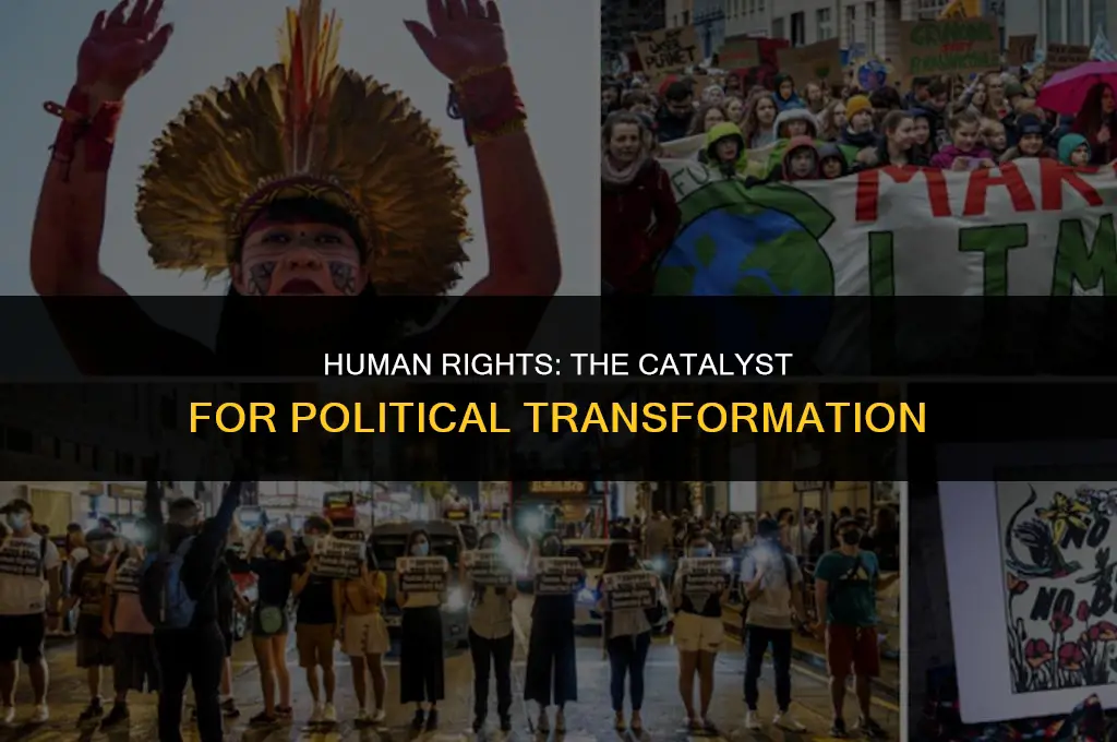 how has human rights shaped political events