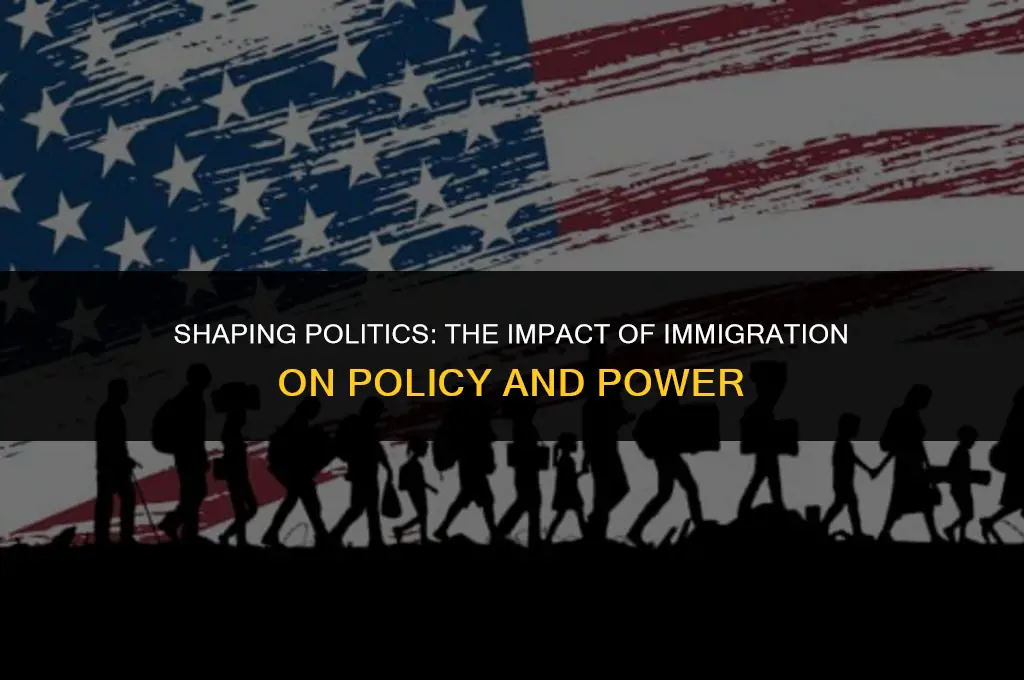 how has immigration affected political changes