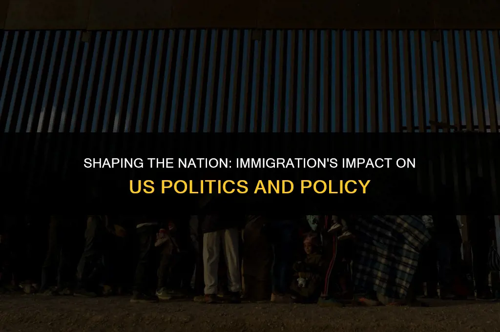 how has immigration affected the us and political policy