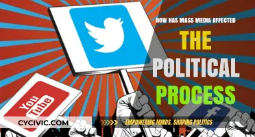 The Impact of Mass Media on the Political Process