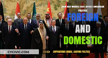 Middle East's Influence on American Politics: Foreign and Domestic Impacts